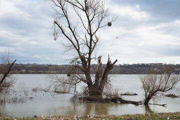 Danube river high water overflow on the quay Novi Sad Serbia