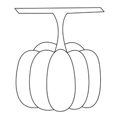 The pumpkin fresh fruit for icon outline vector illustration design continuous one line drawing 