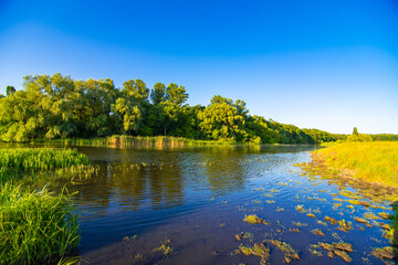 Bright summer landscape with a river and forest against the blue sky