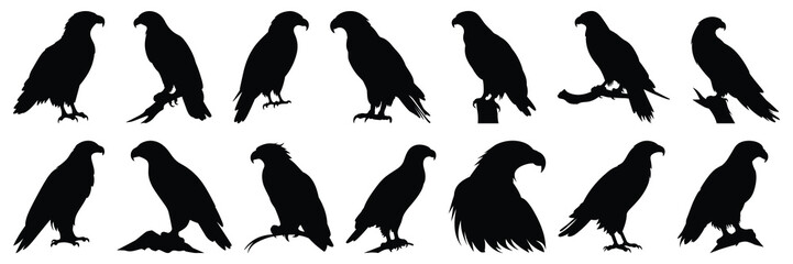 Eagle silhouettes set, large pack of vector silhouette design, isolated white background