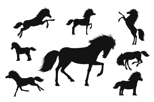 Horse silhouette set vector illustration