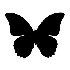 silhouette of a black flying butterfly