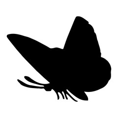 silhouette of a black flying butterfly