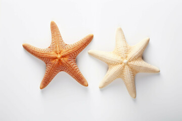 Fototapeta na wymiar two starfish in different shades against a white background