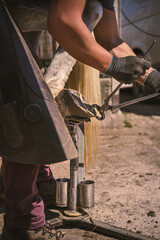 The farrier cuts the hoof wall with hoof nippers. Horseshoeing. Horse care.