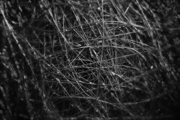 Tangled wire close-up. Abstract background. Macro image of a wire