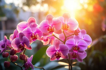 Fotobehang Beautiful purple orchid flower in the garden © Alina