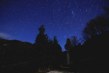 Cielo notturno e stellato, color blu, visto dal basso da un bosco in un ambiente di montagna in...