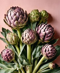 Fototapeta premium Green and pink colorful artichokes texture on a pink background. Plants flat lay. Top view gardening, horticulture theme. Wide screen wallpaper. Panoramic web banner with copy space for design.