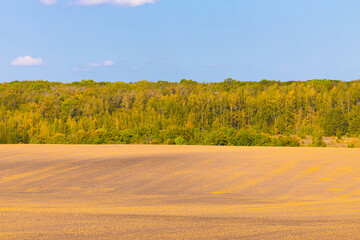 view of an empty plowed field after harvesting