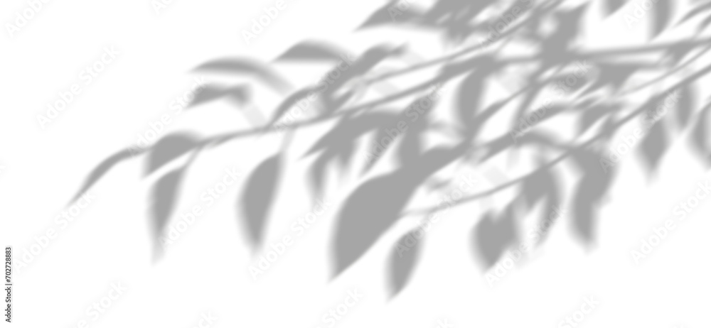 Aufkleber shadow shade leafs movement relaxing shapes isolate on transparent backgrounds 3d render png
