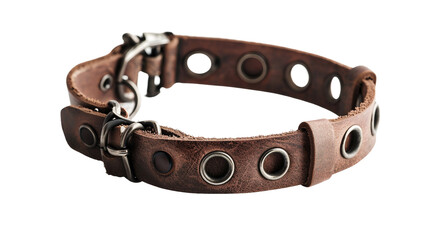 Leather Bracelet in Clear Isolation on a transparent background