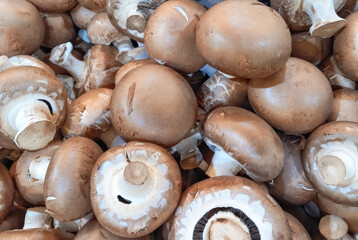 Royal champignon mushrooms close up