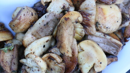 picada vegetariana grillada, grilled vegetarian mince, vegan