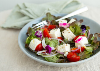plate with salad with feta cheese and cherry tomatoes on the table