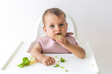 cute baby 8 months old eating broccoli and cauliflower by himself in a high chair on a white background