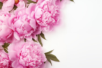 Pink peonies on white background, copy space for greeting text