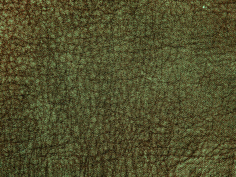 green-brown fabric background