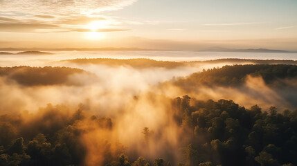 Amazon forest landscape at sunset or sunrise, aerial shot with soft fog in the forest below and sun at horizon. Ai generated