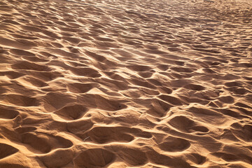 Moroccan desert, footprints in the dunes