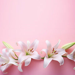 Fototapeta premium Beautiful floral background with white lily flower on pastel pink background.