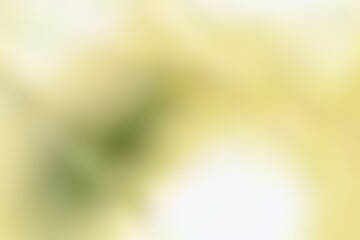 Abstract blurred background image of yellow colors gradient used as an illustration. Designing posters or advertisements.