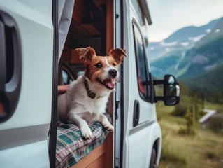 Fotobehang dogs camping in the car. Pets on vacation. © Svetlana