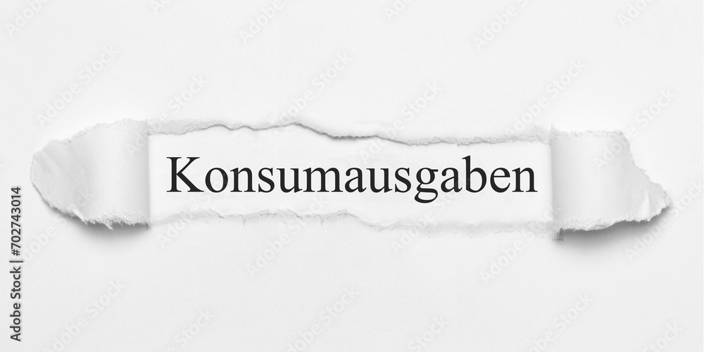 Poster konsumausgaben