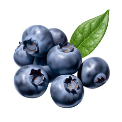 Blueberry fruit icon isolated transparent background