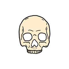 skull vector illustration template design