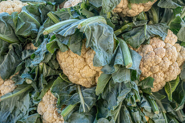 food background of cauliflower on a market counter