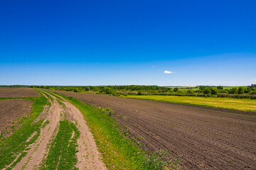 Fototapeta na wymiar Dirt road through the field with black soil. Spring landscape with farm fields