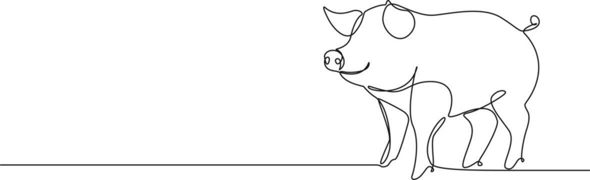 continuous single line drawing of domestic pig, line art vector illustration