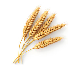 Wheat Ears fruit icon isolated transparent background