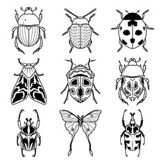 Set of insects. Vector icons. Isolated on white.