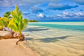 Foto auf Alu-Dibond Aitutaki © Robert