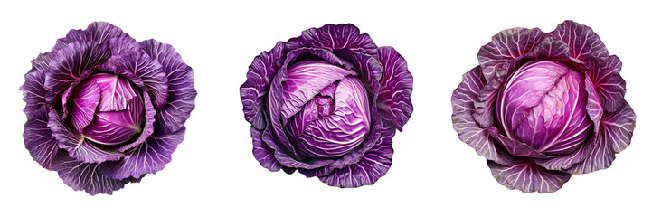 Set of red cabbage top view isolated on white or transparent background