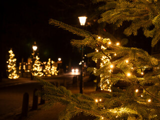 Festive Radiance: Christmas Lights Adorning Trees in the Night Streets of Lage Vuursche, Netherlands