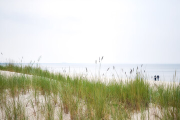 Beautiful dune beach with lush grass and in the distance an unknown couple walking along the coast...