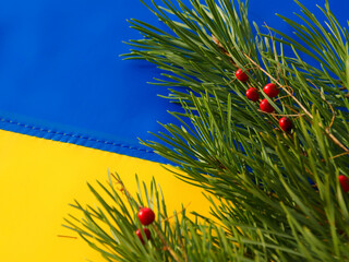 Ukrainian flag and Christmas tree branches.