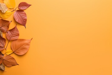  colorful autumn leaves on a yellow background with copy - space for your text or image top view with copy - space for your text.