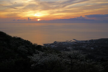 Naklejka premium Sunset over the mountains with cherry blossoms