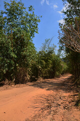 Non asphalt Lateritic road or laterite rouge soils red earth street on Khao Thewada Mountain for vehicle off-road journey to Ban Taphoen Khi village at Phu Toei National Park in Suphan Buri, Thailand