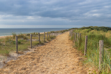 Fototapeta na wymiar Dune path with fence and poles with cloudy blue sky near the beach and North Sea, Egmond aan Zee , the Netherlands