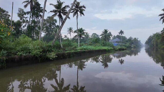 Morning Landscape from Alleppey backwaters with coconut tree and reflection in water,Kerala