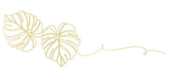 Monstera leaf line art style with transparent background eps