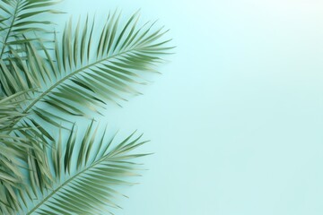  a close up of a palm leaf on a light blue background with a place for a text or an image.