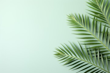  a close up of a palm leaf on a light green background with copy - up space in the bottom right corner.