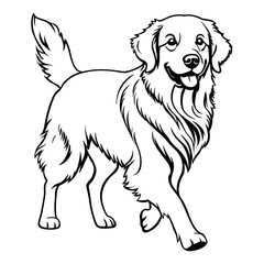 Golden retriever dog coloring page for kids