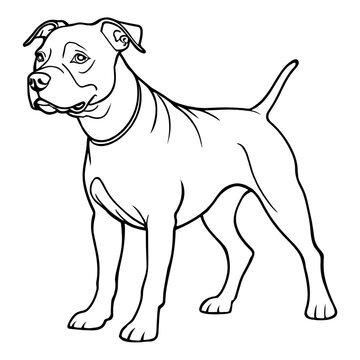 Pitbull dog coloring page for kids